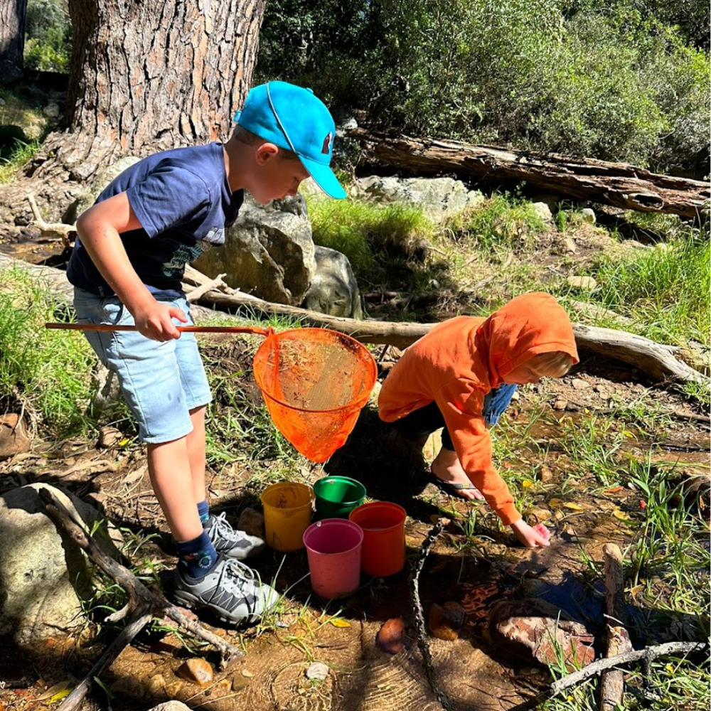 Holiday Club 5-10 yr | 15th December | Deer Park