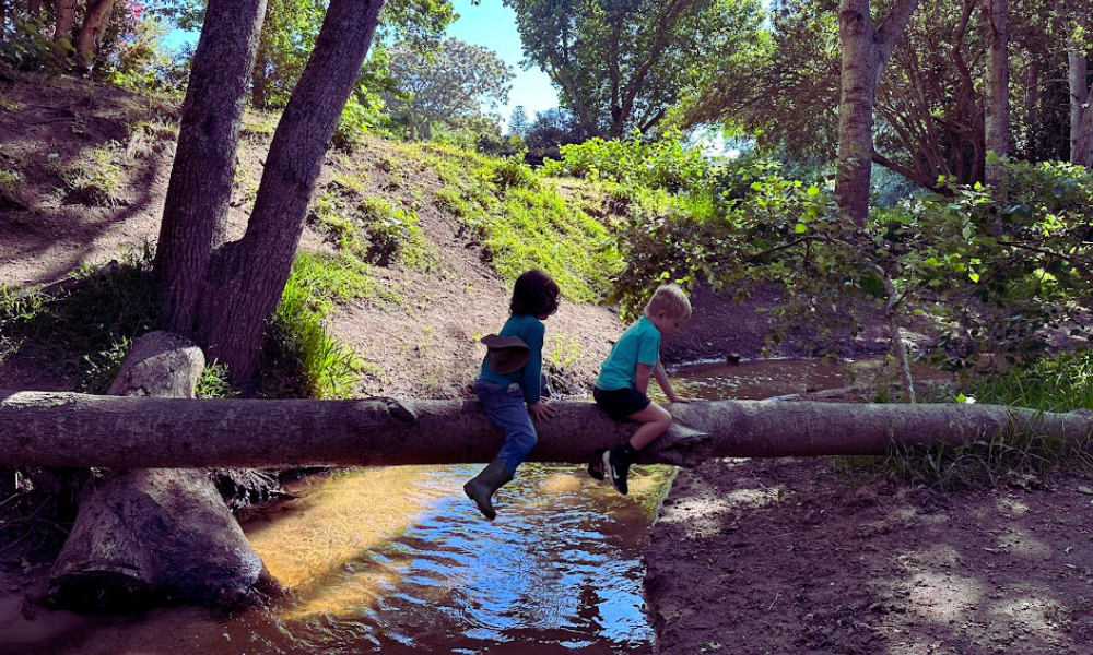 forest school activities for kids