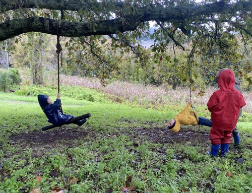 3 Wintery Forest School Stories that demonstrate learning through play — as told by our educators